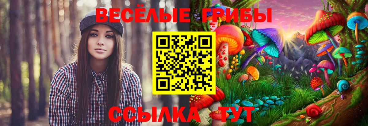Галлюциногенные грибы GOLDEN TEACHER Верхняя Салда